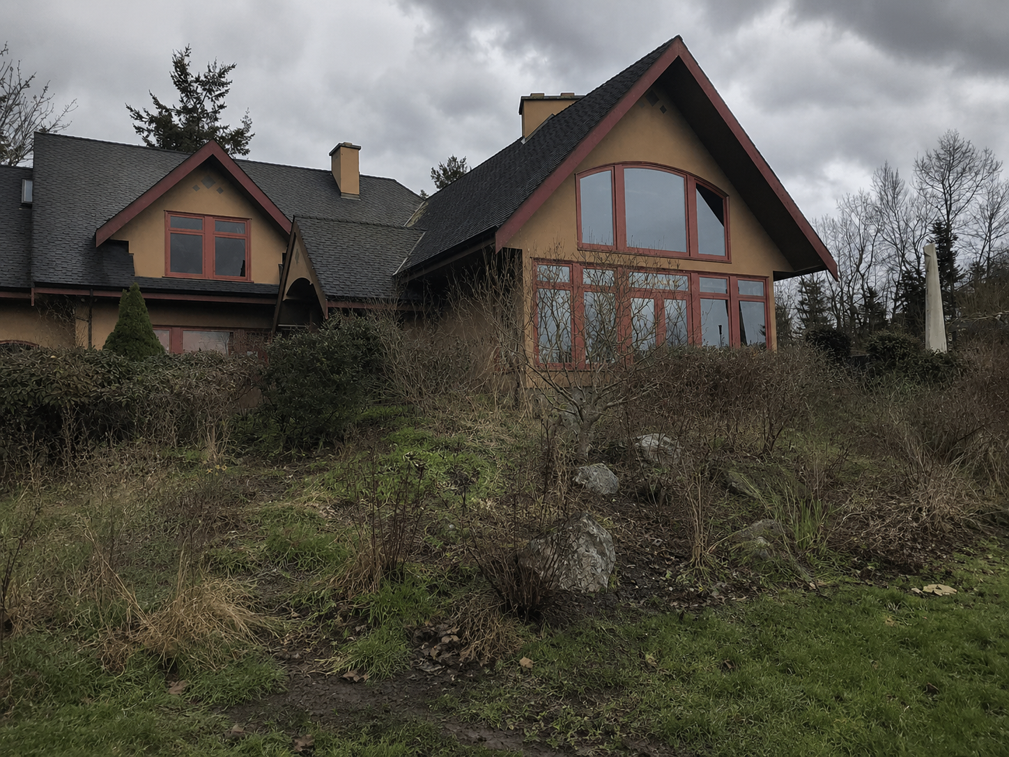A hillside property before restoration — overgrown with dead brush and weeds, the beds lost under tangle