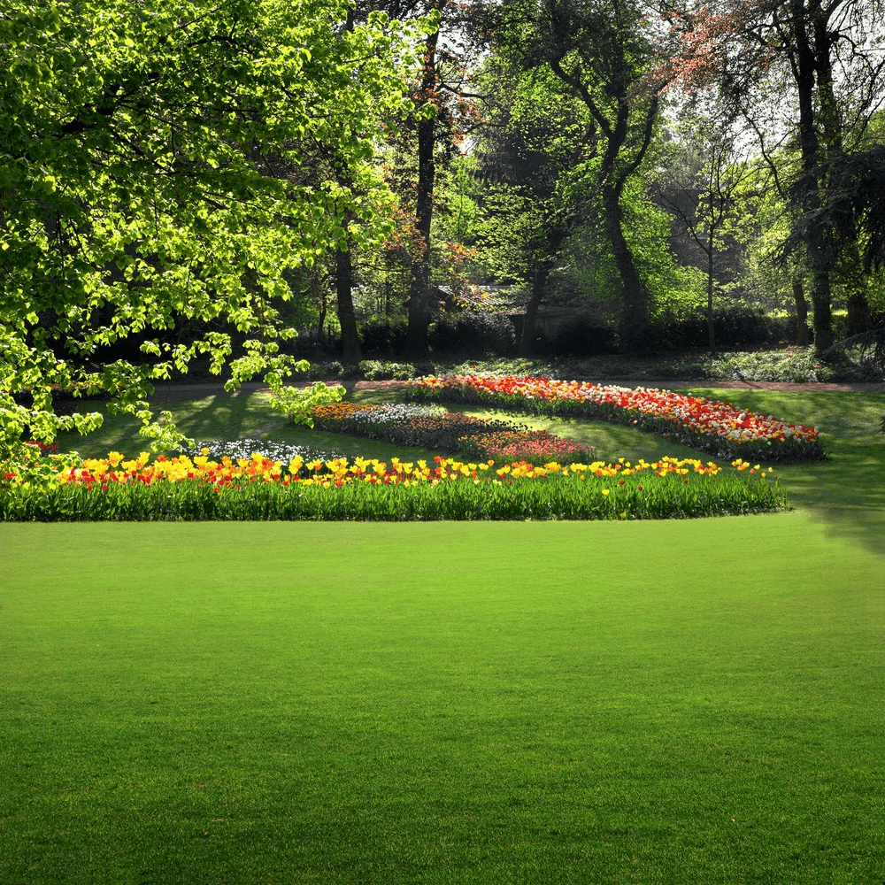 A revived, healthy green lawn edged by a restored flower border
